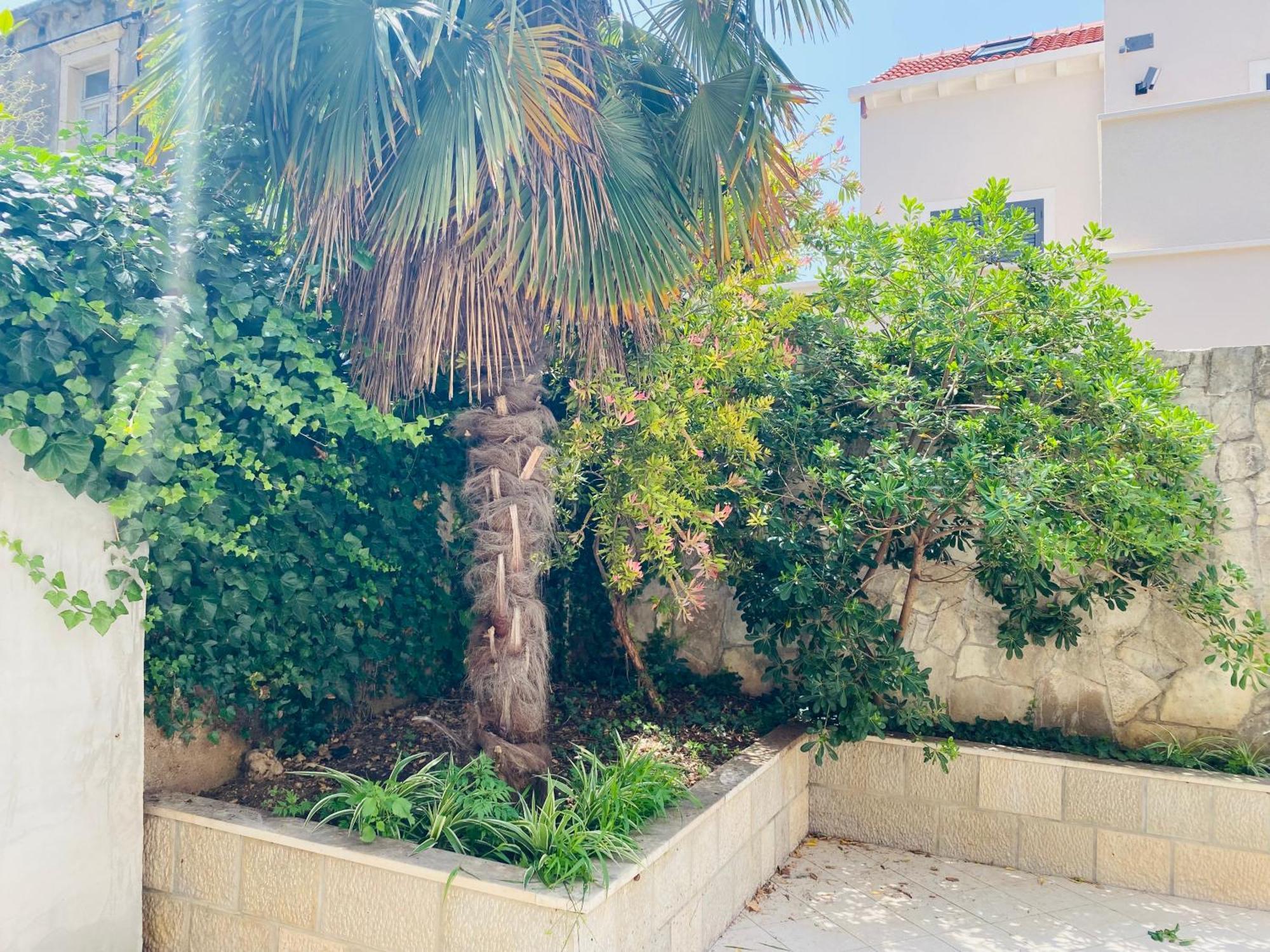 Pafi Apartment Ντουμπρόβνικ Εξωτερικό φωτογραφία